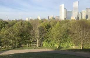 View from Stave Hill to Canary Wharf